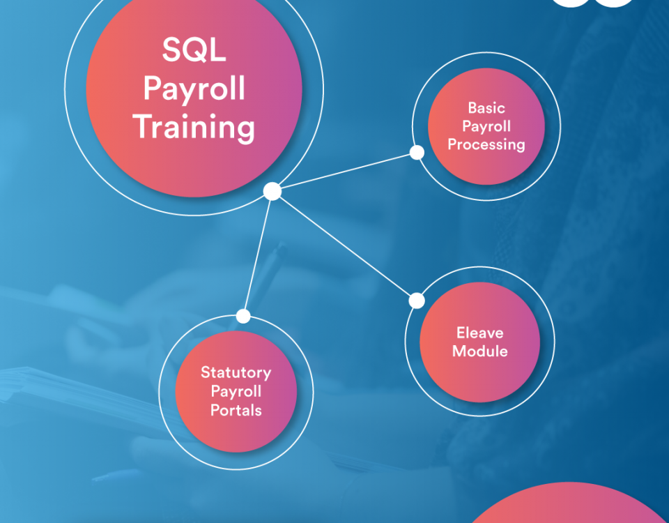 sql accounting software training progress